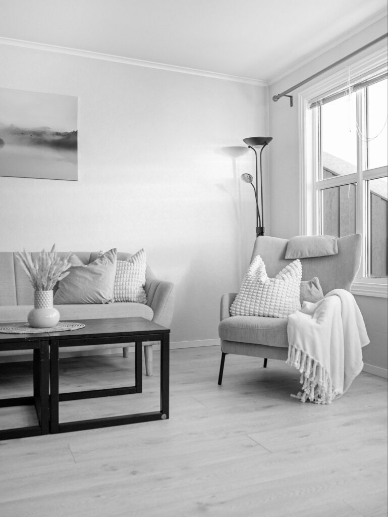 modern apartment living room