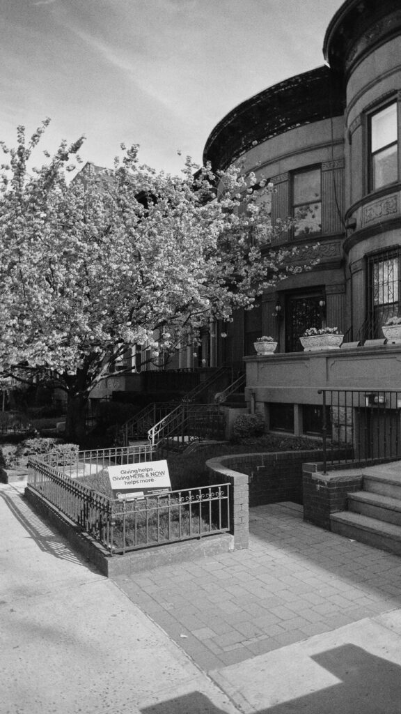 Brownstone with cherry blossom tree in Bedford-Stuyvesant, Brooklyn