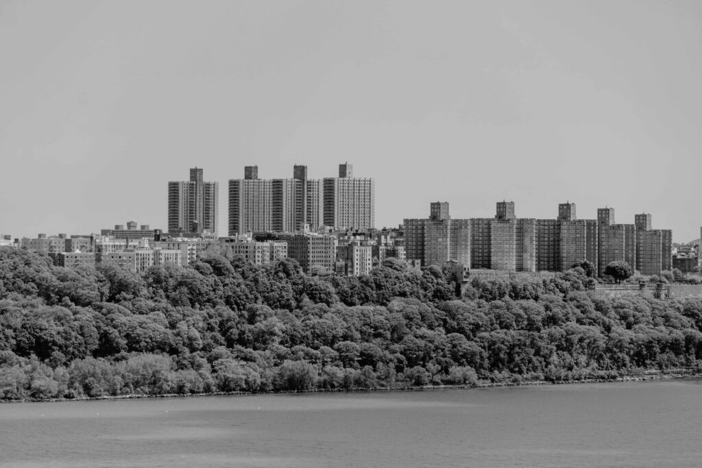 Brooklyn Bedstuy Neighborhood View
