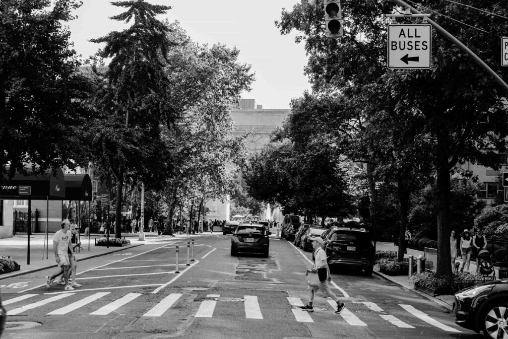 Comfortable Brooklyn Living