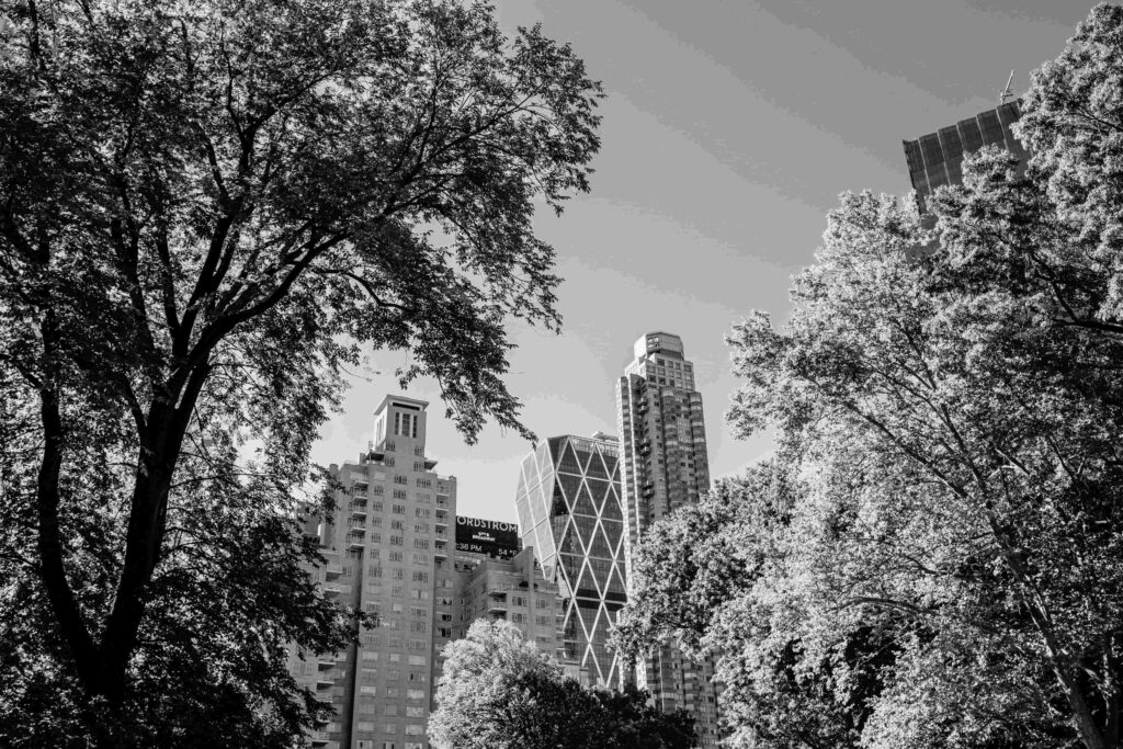 NYC Modern Brooklyn Living